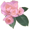 pflwrs.gif